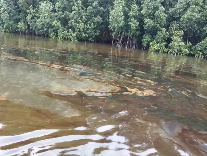 Fresh oil spill rocks Bayelsa community