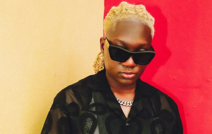 Telling my parents about my sexuality lifted weight off my shoulders - Singer Darkoo