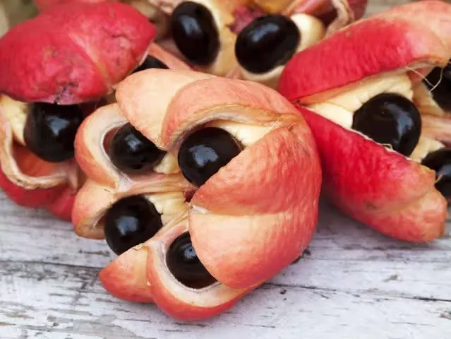 3 common fruits with poisonous seeds