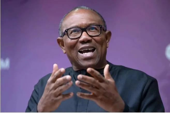 Adopting ADC Wasn't An Easy Decision - Peter Obi