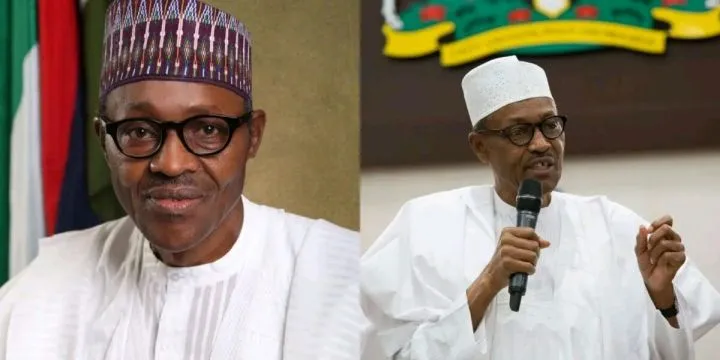 Details of Muhammdu Buhari's assets emerge Details of Muhammdu Buhari's assets emerge
