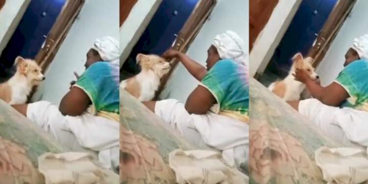 Hilarious video of a Nigerian mother scolding her stubborn dog and expecting it to respond (watch)