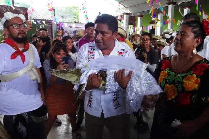 'I love her' - Victor Hugo Sosa, mayor of Mexico town marries female crocodile (video)