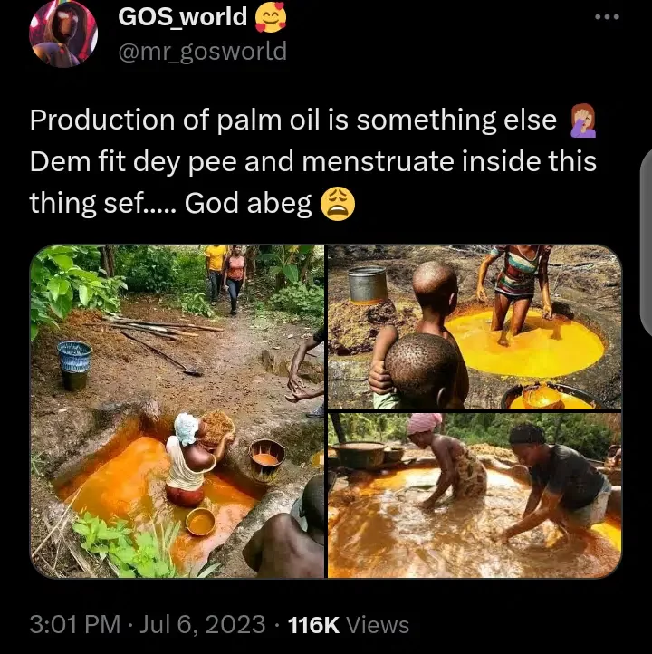'Dem fit dey pee and menstruate inside this thing' - Nigerians react to photos of women processing palm oil