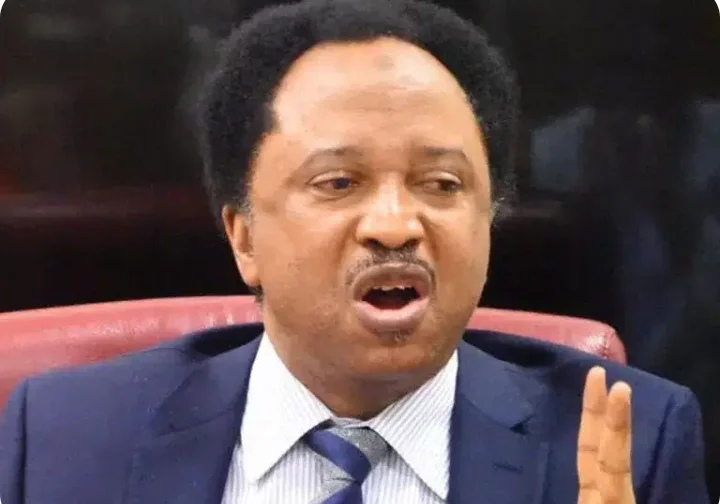 Lifting Of Ban on Toothpicks, Agricultural Products We Produce Is a Disastrous Strategy - Shehu Sani