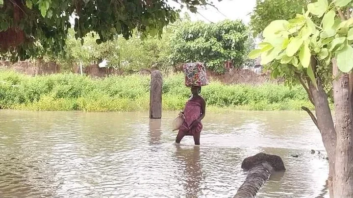 Floods claim 33 lives in Adamawa