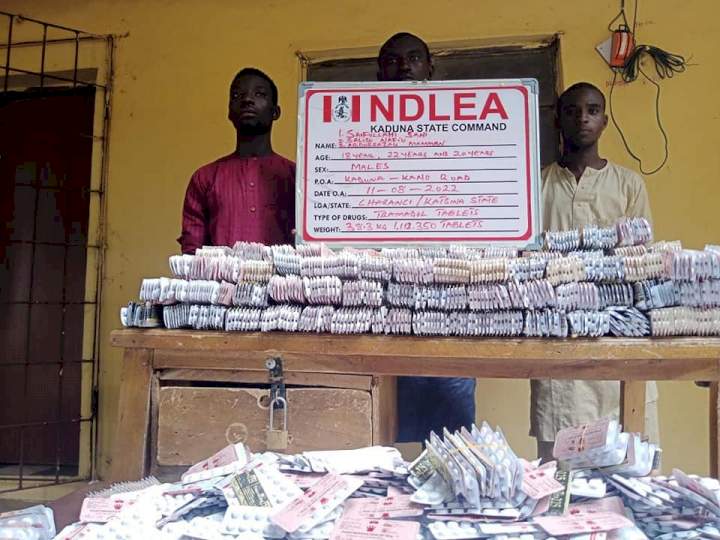 NDLEA uncovers 442 parcels of Crystal Meth in heads of smoked fish in Lagos as returnee excretes 77 wraps of cocaine at Enugu airport