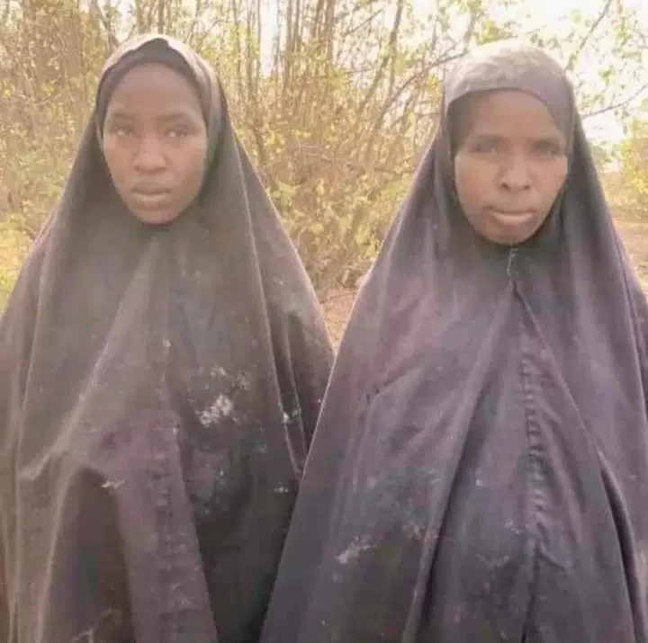 Two Chibok girls escape from Sambisa forest after 9 years in Boko Haram captivity