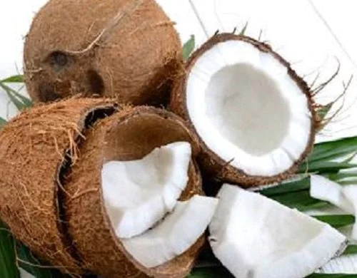 Unravelling Mystery Behind Coconut Water