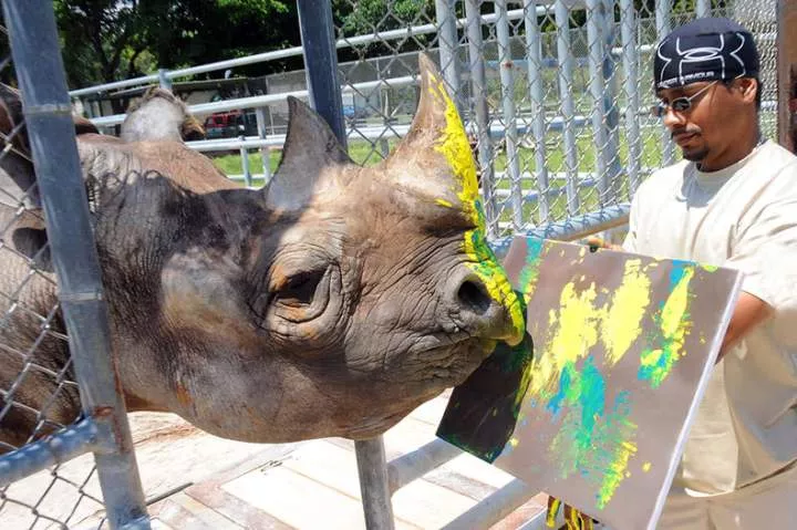 Did you know these 10 animals can create art?