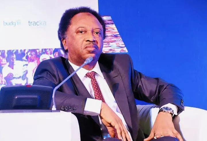 Dangote A Businessman, Not 'Father Christmas' - Shehu Sani Cautions Nigerians