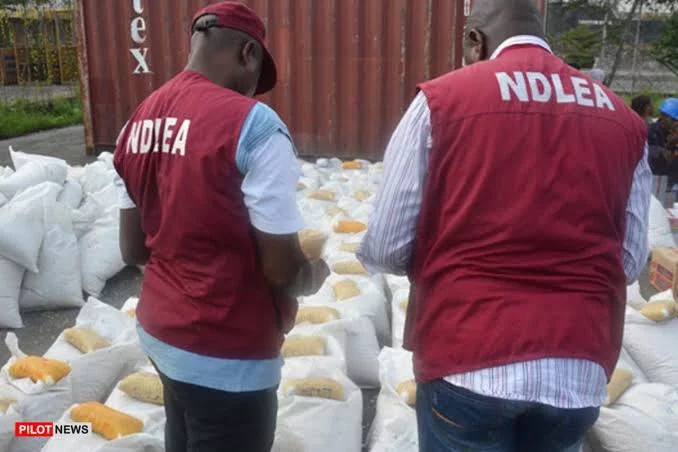 NDLEA Warns Against Dangerous New Drugs 'Suck & Die' and 'Rubber Solution'