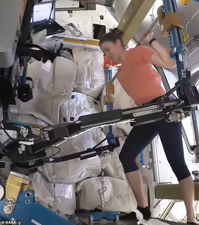 Astronauts work out for two hours every day using machines such as the ARED weightlifting device (pictured) which uses pistons and flywheels to simulate the force of gravity on Earth