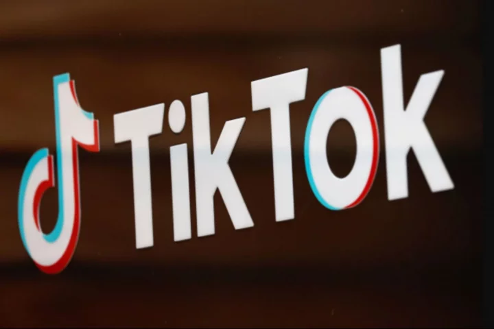 TikTok seeks Supreme Court intervention to halt impending US ban