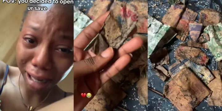 Lady bursts into tears as she discovers the money she saved had decayed (Video)