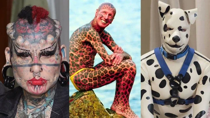 People who underwent extreme surgeries to look like animals 