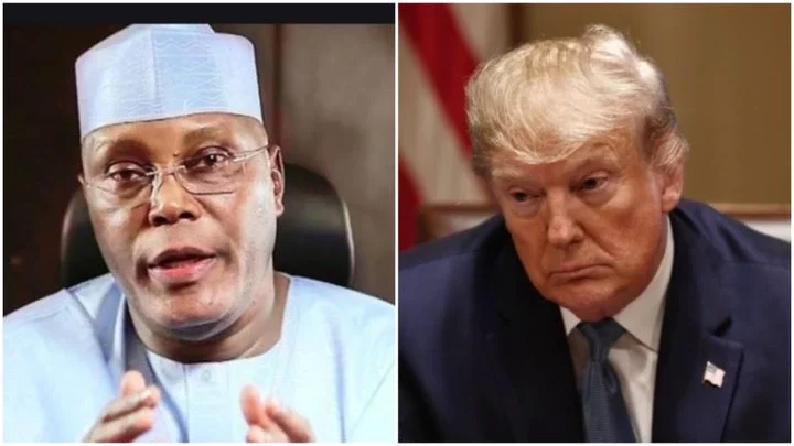 'Lessons for Nigeria' - Atiku reacts to Trump's victory in U.S. presidential election