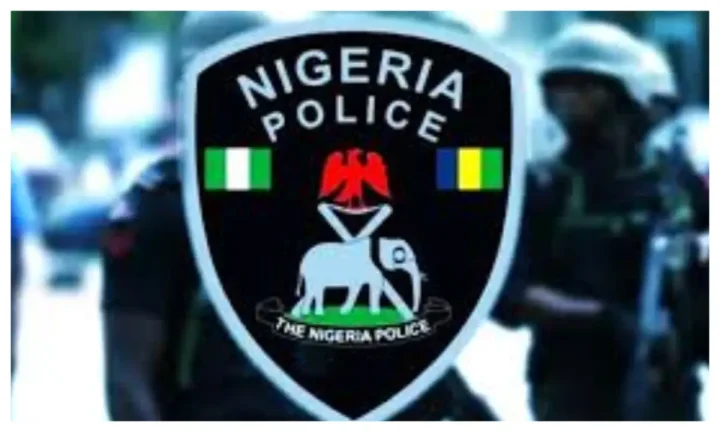 Operation Kukan Kura: Kano police arrests 28 thugs