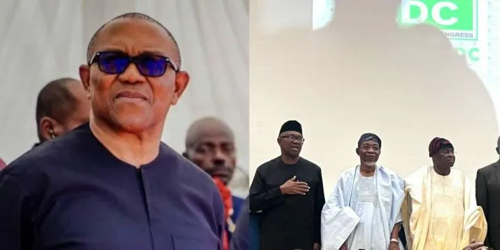 ADC coalition will put Nigerians first - Peter Obi