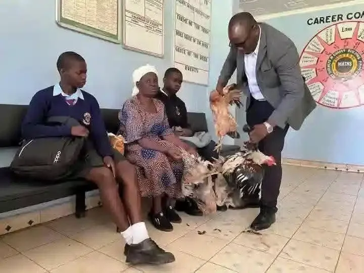 Grandmother shows up with 6 chickens to pay grandkids' school fees after they're sent home