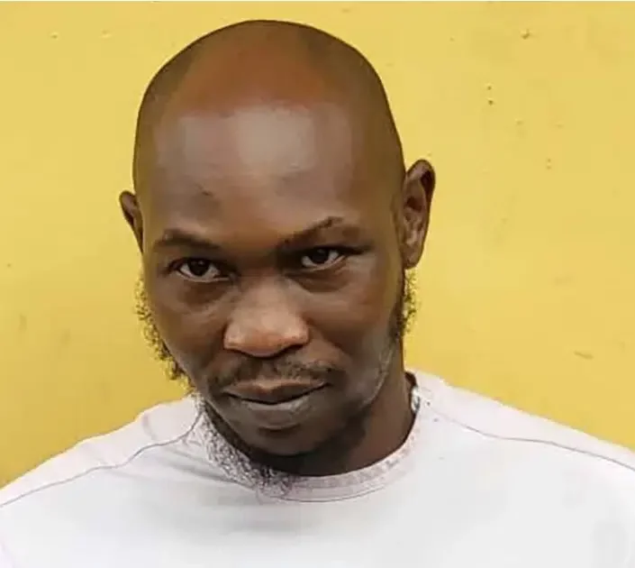 'My father's death was an impactful experience for me' - Seun Kuti