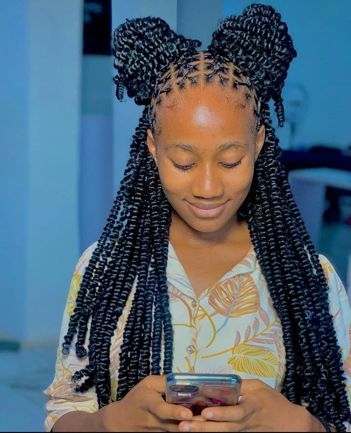 25+stunning twisted box braids hairstyles you should consider.