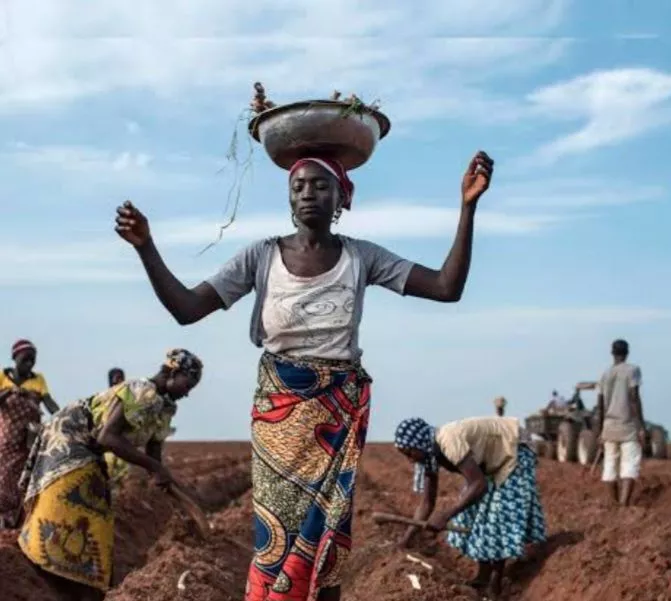 Nigeria has second highest rate of food insecurity in the world, Bill Gates says