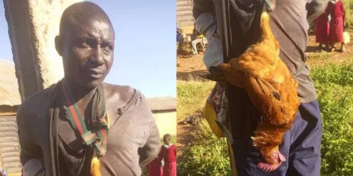 Man caught stealing chicken forced to wear it as a tie in public