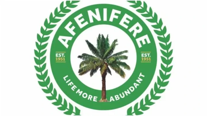 August 1: Afenifere declares stance on planned nationwide protest