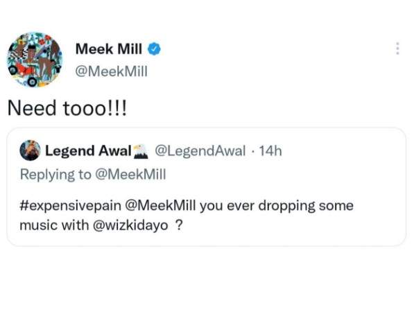 I need to drop some music with Wizkid - Meek Mill opens up