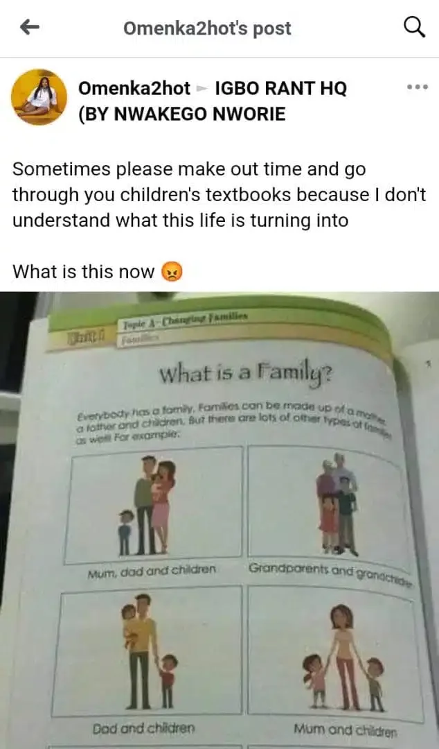 'Parents please go through your kids' books' - Nigerian mum cries out over images in primary school textbook