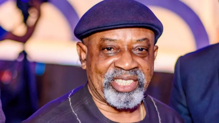 We train Nigerian Doctors for free, at N48,000 per session, yet no commitment - Ngige