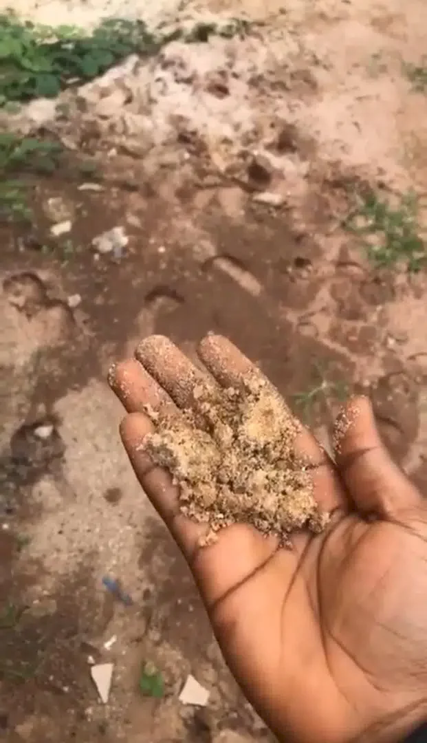 Lady puts mother's life on the line as she swears to prove her love to boyfriend (Video)