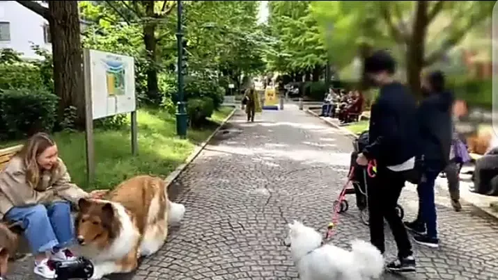 Japanese man reportedly spends $20k to transform himself into a dog (Video)