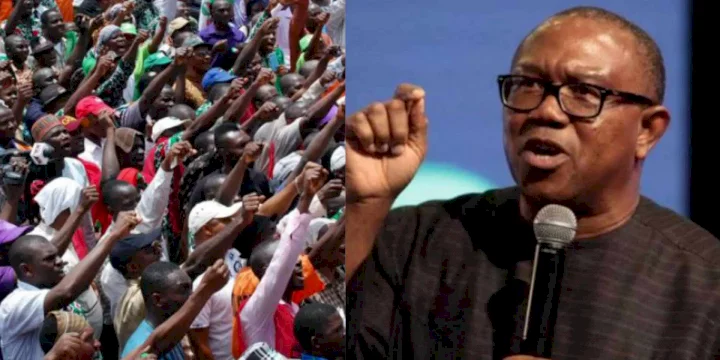 Peter Obi addresses his supporters on how to express themselves amid verbal clashes