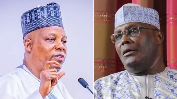 "...he can spend his days rearing goats and broilers" - Shettima tears Atiku apart