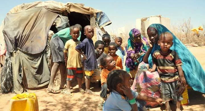 Reasons why the EU has suspenede food aid to Somalia