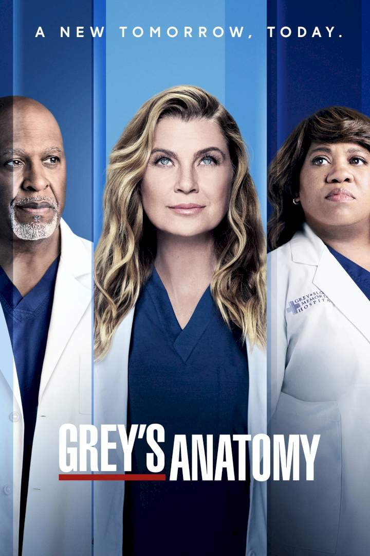 New Episode: Grey's Anatomy Season 18 Episode 8 - It Came Upon A Midnight Clear