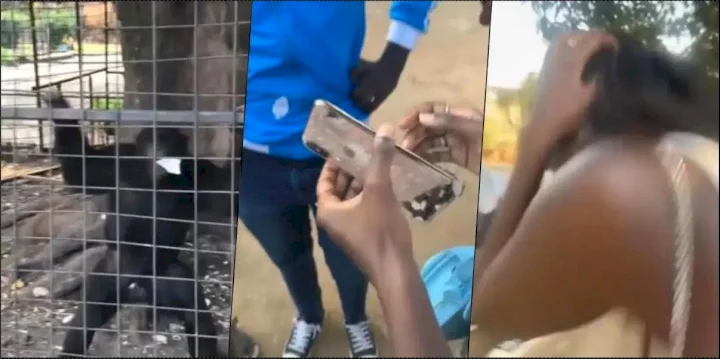Lady shares harrowing experience with monkey at zoo in Burundi (Video)