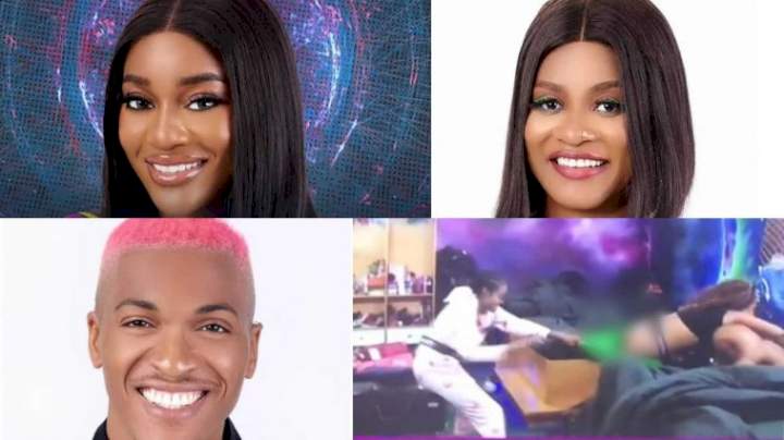 Netizens knock Beauty for pulling down Phyna's trousers in a bid to protect Groovy from her (Video)
